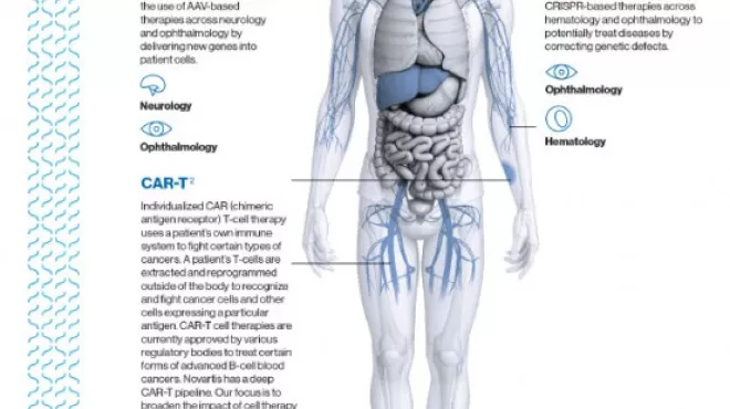 Preview Image of the Cell and Gene Key Focus Areas Infographic