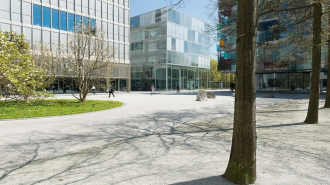 View of Fabrikstrasse 6 (Peter Märkli) with trees