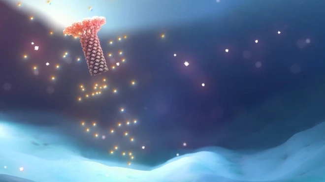 Artist’s depiction of the inflammasome.