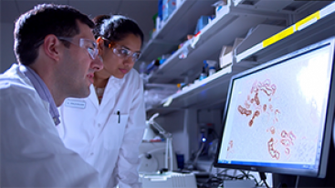 NIBR Cambridge, United states