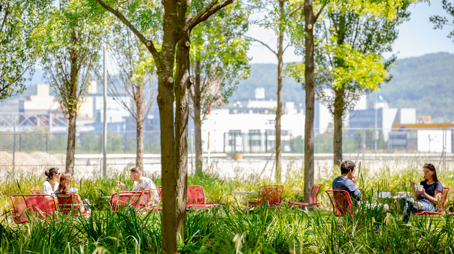 Outside meeting space on Novartis Campus Basel