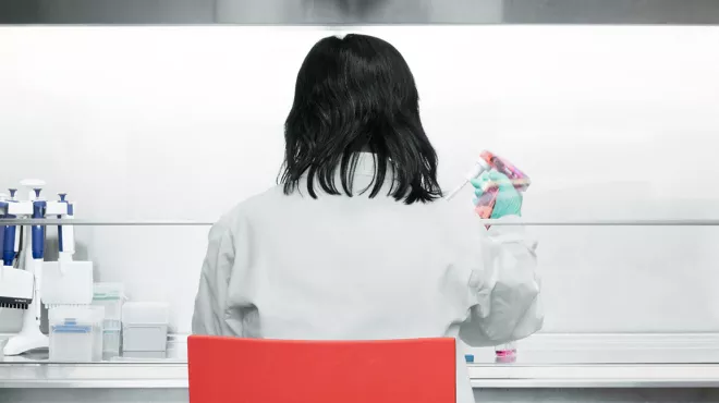 Scientist at a cell culture hood