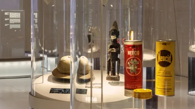 Museum exhibit with artifacts displayed in glass cases in a modern gallery setting.