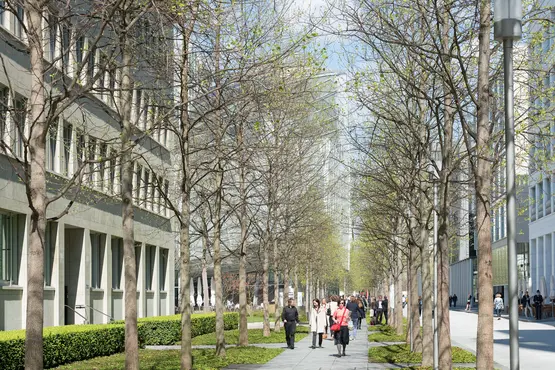Avenue with trees along Fabrikstrasse