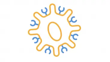 An animated overview of the science behind CAR-T cell therapy.