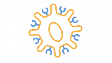 An animated overview of the science behind CAR-T cell therapy.