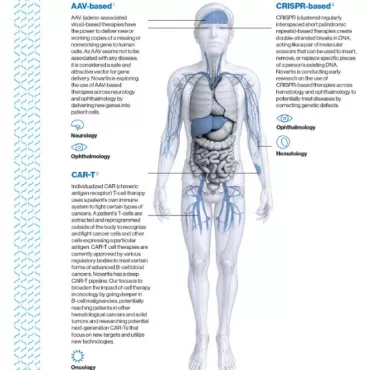 Preview Image of the Cell and Gene Key Focus Areas Infographic