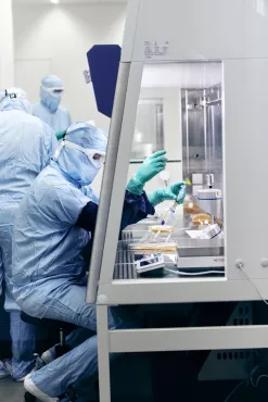 A process operator performs process operation in a biosafety cabinet