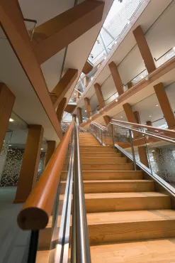 View of staircase in the Gehry building