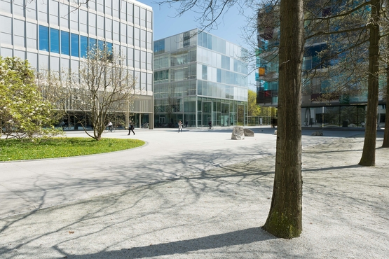 View of Fabrikstrasse 6 (Peter Märkli) with trees