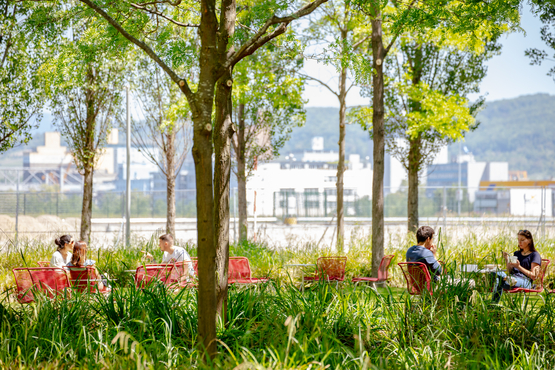 Outside meeting space on Novartis Campus Basel