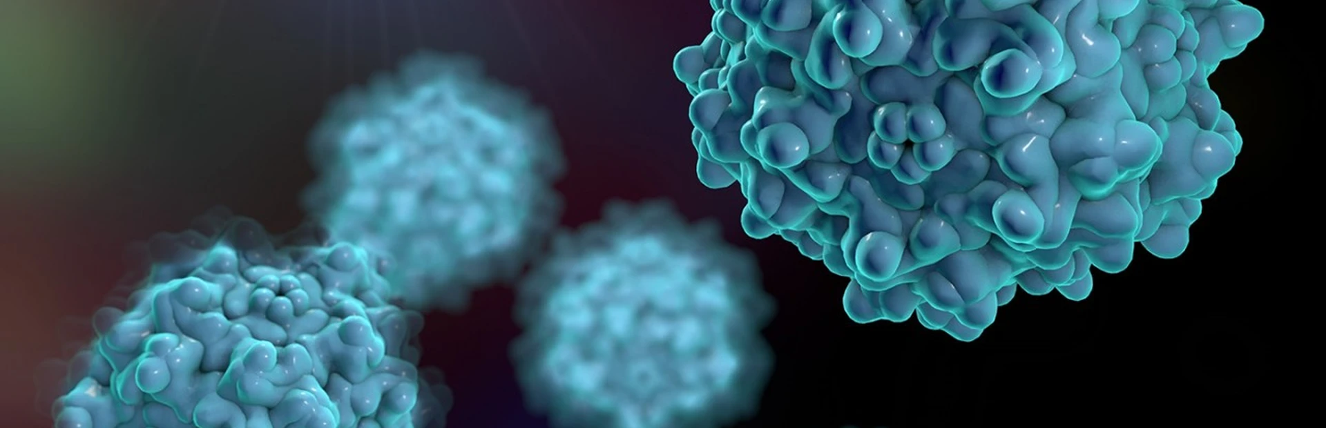 Adeno-associated viruses