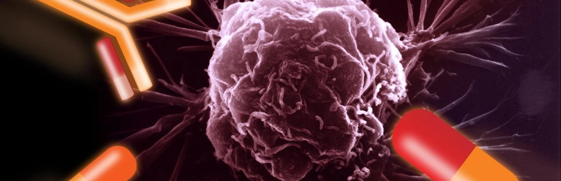 Cancer cocktails come of age