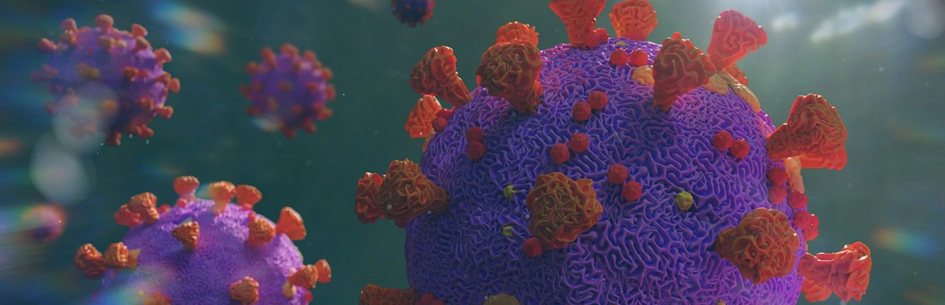 SARS-CoV-2 is the virus that causes coronavirus disease (COVID-19)