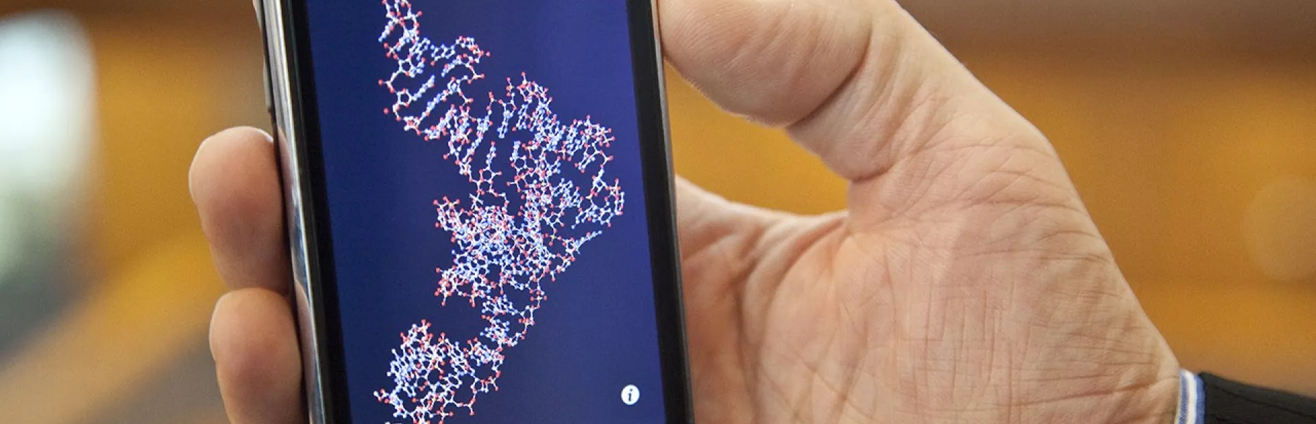 Smartphone displaying cell structure