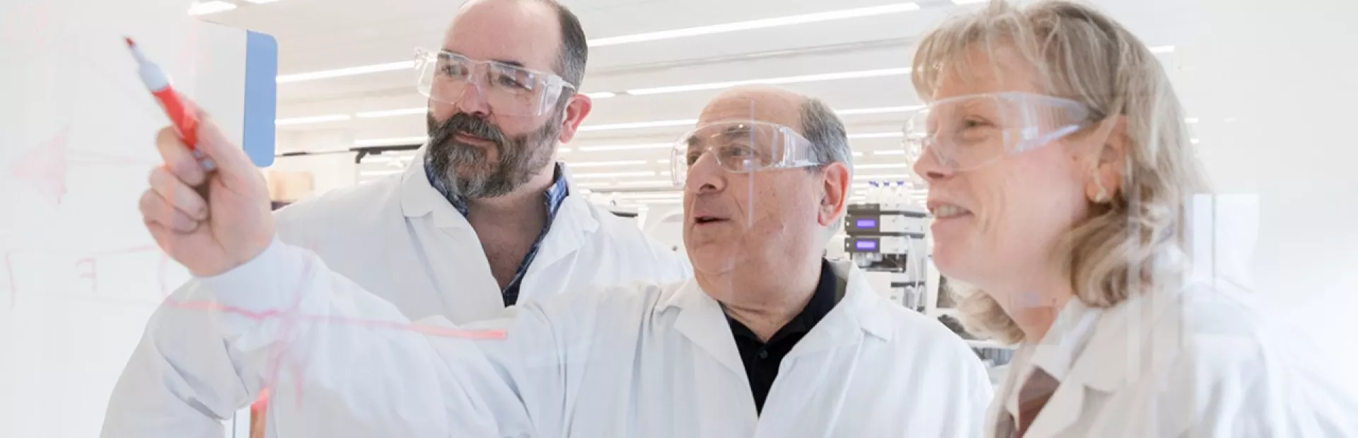 Novartis scientists work side-by-side with a scholar