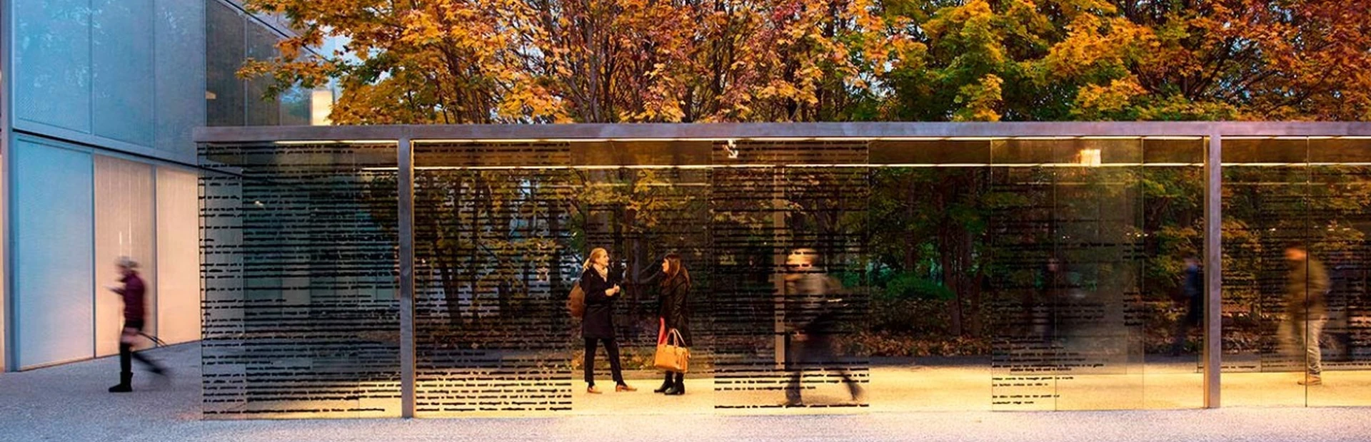 Renee Rodgers on what it means to be a woman in science