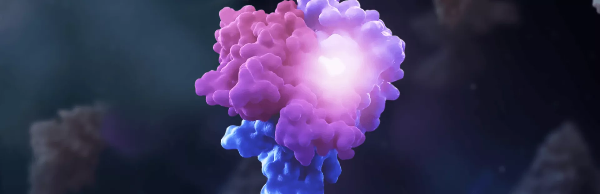 Molecular glues bring proteins together