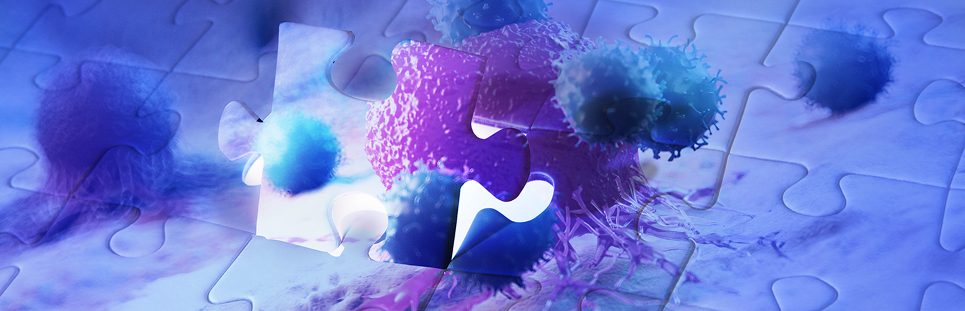 Immuno-oncology, a puzzle that needs to be solved 
