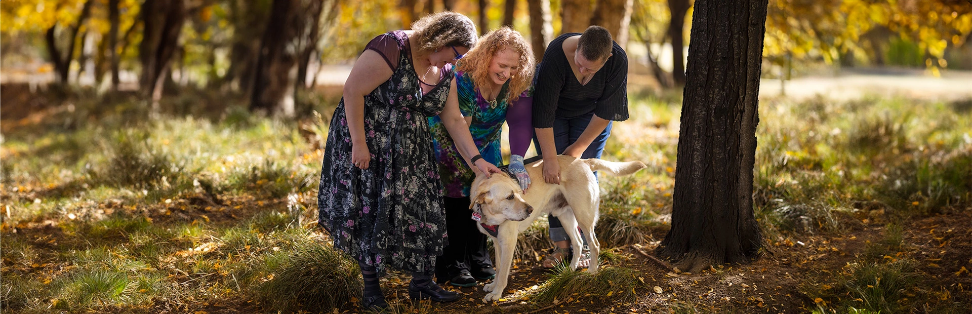 Three women petting a dog in a forest