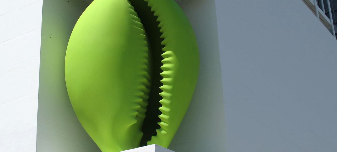 Muschel (Hellgrün), Shell (light green)