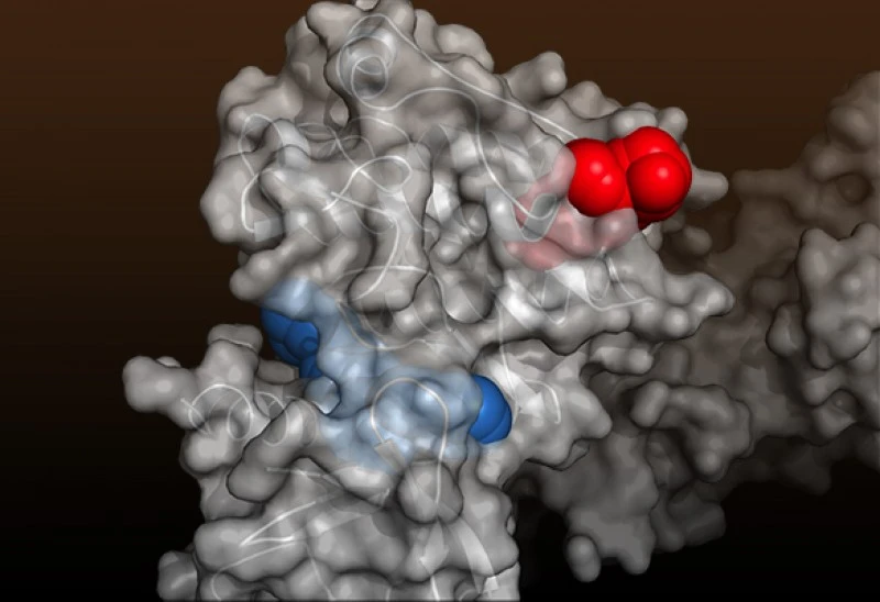 Cancer Cocktails: ABL001 – Hitting One Target Twice