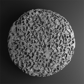 A baby-aspirin-sized immunotherapy device.