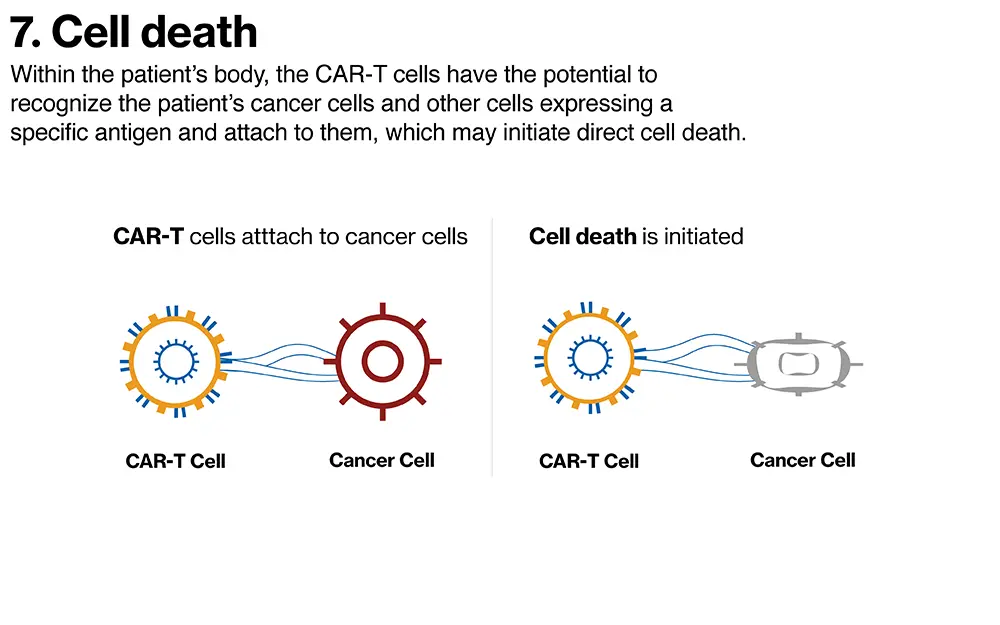 Cell Death