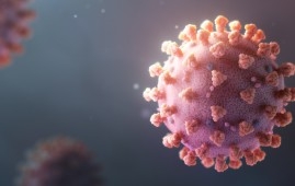 Coronavirus