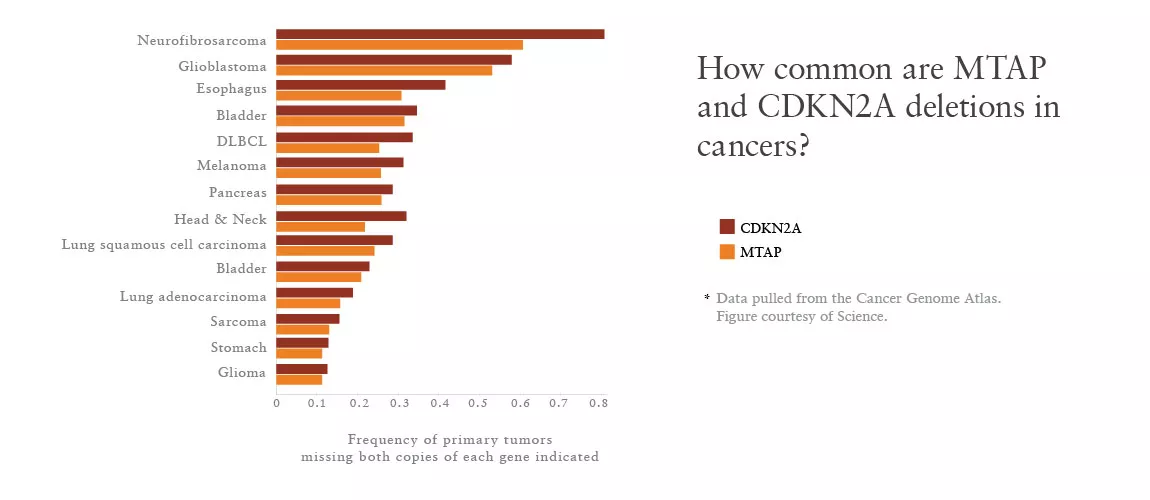 How common are MTAP and CDKN2A deletions in cancers