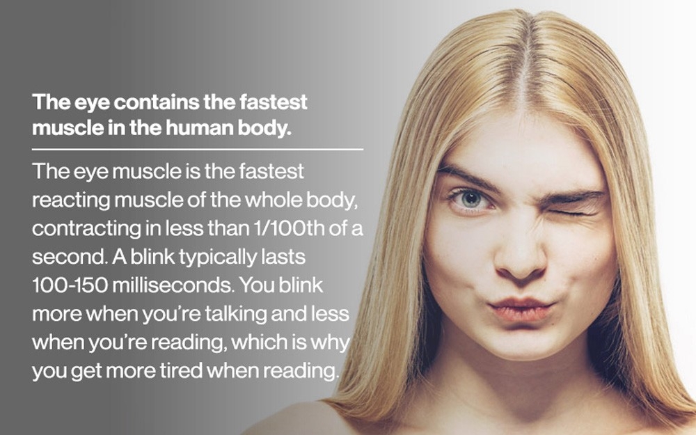 Eye fact 4