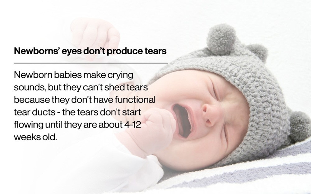 Eye fact 1
