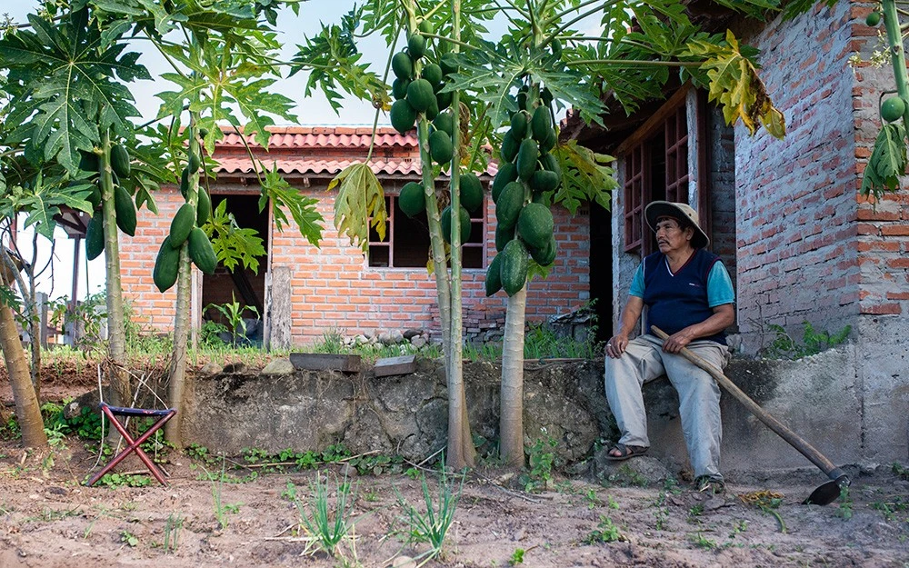 Felix has Chagas and needs to rest during work.