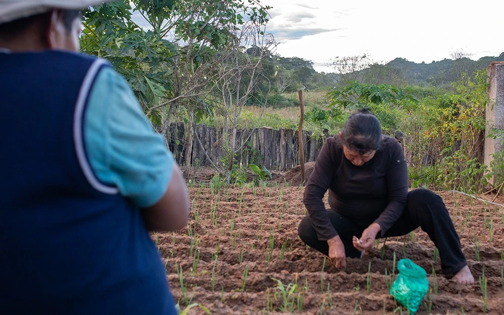 Julia is working on the field and Felix is watching her.