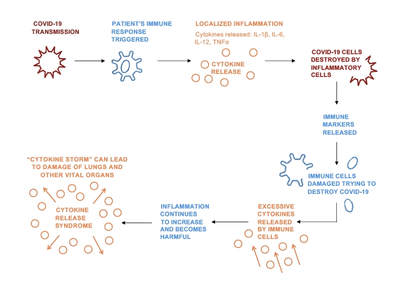 Image representing cytokine release syndrome mechanism