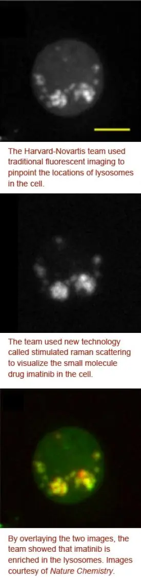 Why Novartis scouts for disruptive technology