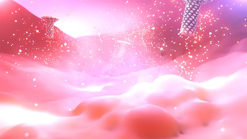 Depiction of inflammatory process