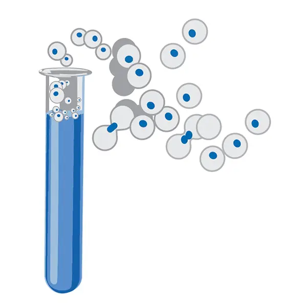 Manufacturing, step 1