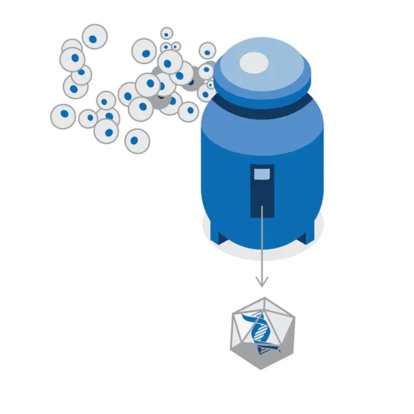 Manufacturing, step 2