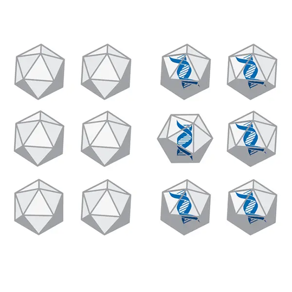 Manufacturing, step 4