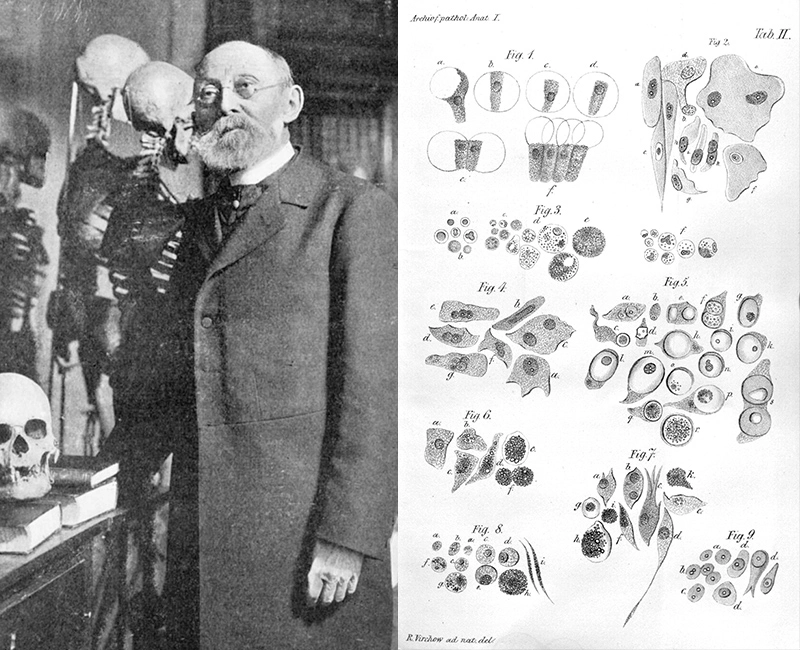 Rudolf Virchow and his scientific drawings