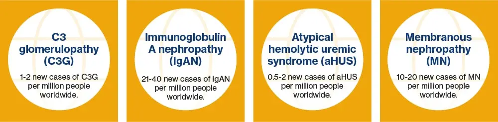 Types of diseases included in a group of kidney diseases known as complement-mediated kidney diseases