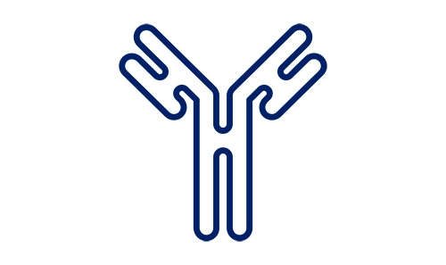 Antibody icon