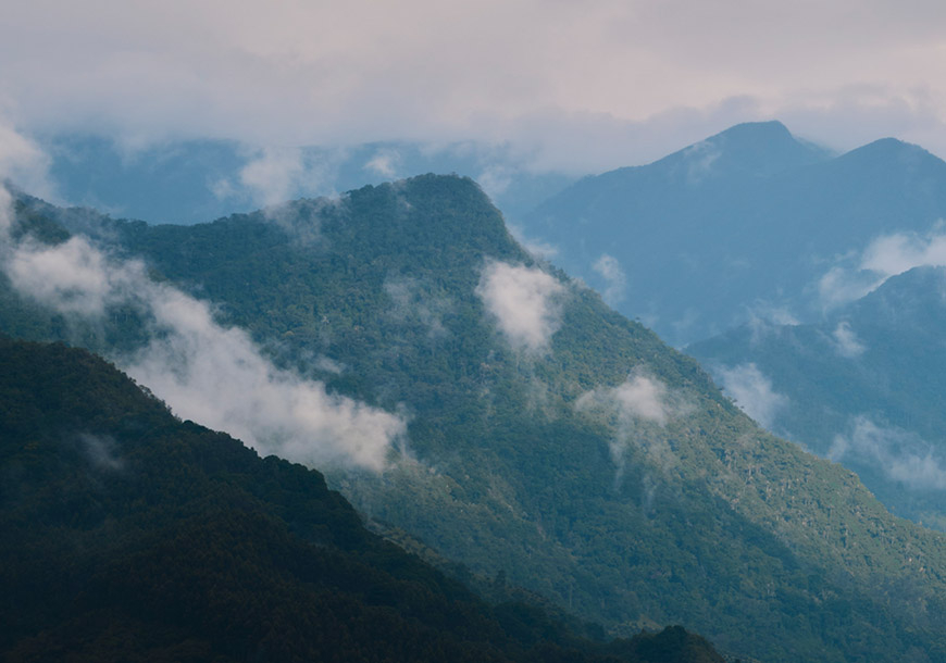 The mountains of western Colombia, where leishmaniasis is endemic