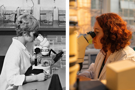 Collage of two pictures. On the left, a black and white picture taken in the 70s showing a scientist using a microscope in a lab. On the right, a scientist using a microscope in a bright and warm lab