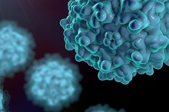 adeno associated viruses 3d hero