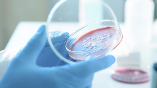 Adress Superbug Threat
