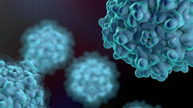 Adeno-associated viruses