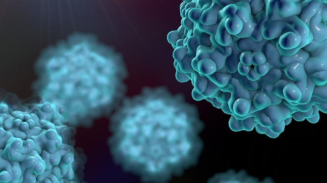 Adeno-associated viruses