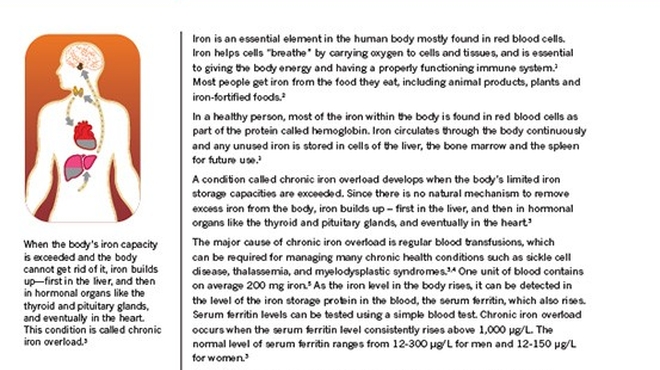 Chronic Iron Overload Backgrounder